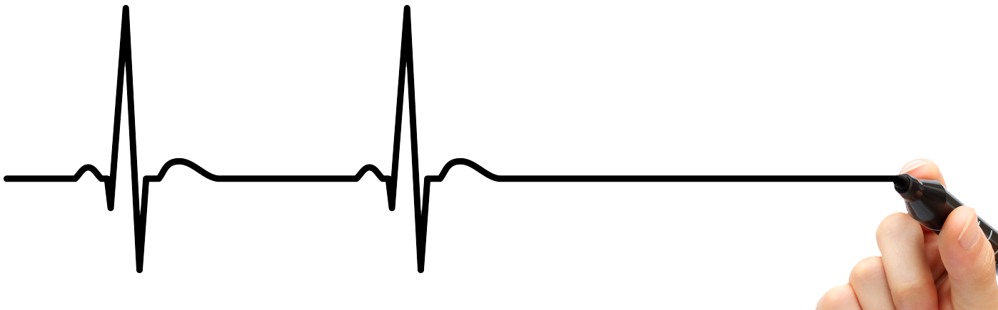 DNA sequence visualization